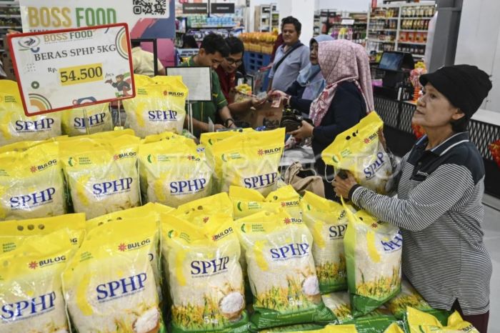 Government prepares importing additional 1.6 million tons rice - ANTARA ... Harga Beras Premium Tembus Rp17.000 per Kg di Pasar Induk