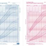 Excelsior vs Fortuna 2025: Form, Head-to-Head, dan Prediksi Skor Malam Ini