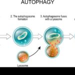Jika tak mau terperosok ke zona degradasi, berikut permintaan pelatih Arema FC mencari pengganti Dalberto